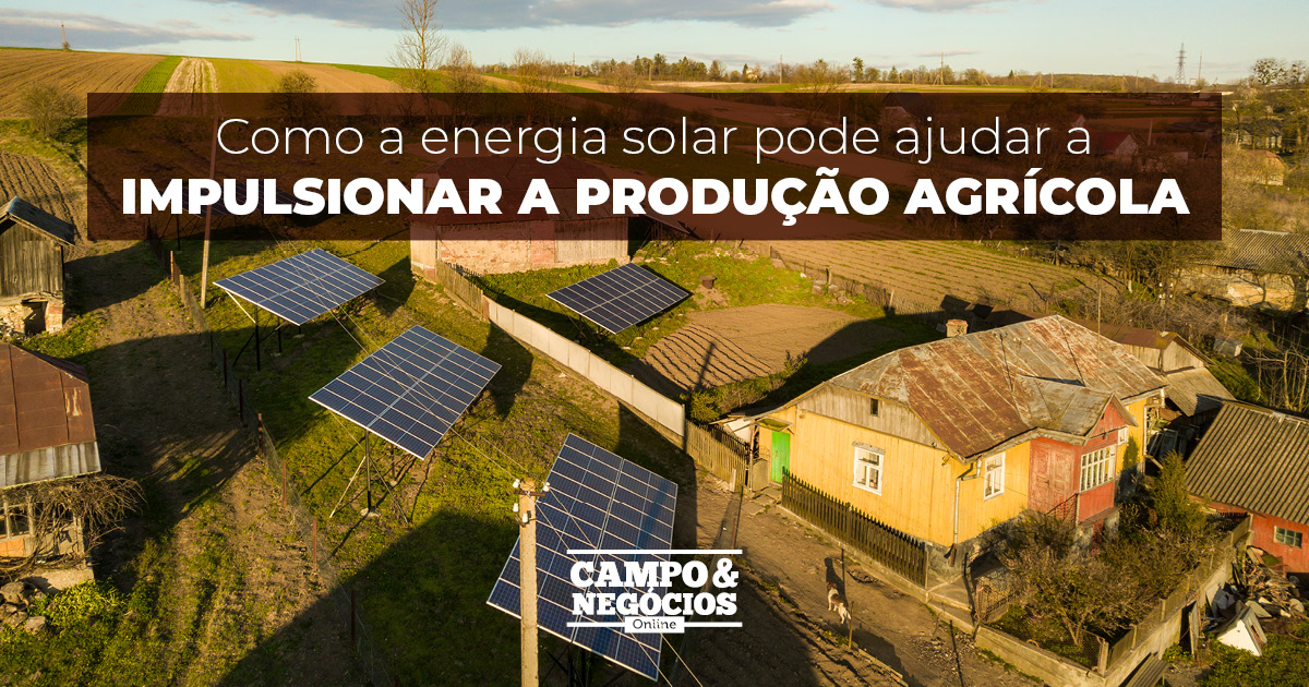 Como a energia solar impulsiona a produção agrícola