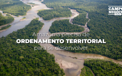 Amazônia precisa de ordenamento territorial para se desenvolver