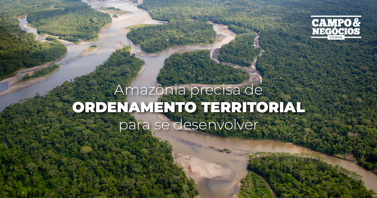 Amazônia precisa de ordenamento territorial para se desenvolver