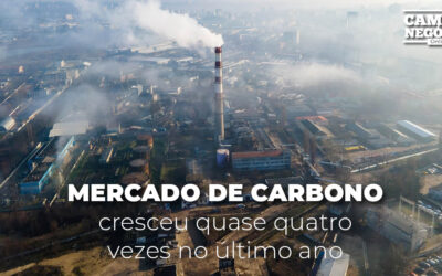 Mercado de Carbono cresceu quase quatro vezes no último ano