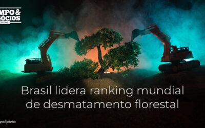 Brasil lidera ranking mundial de desmatamento florestal