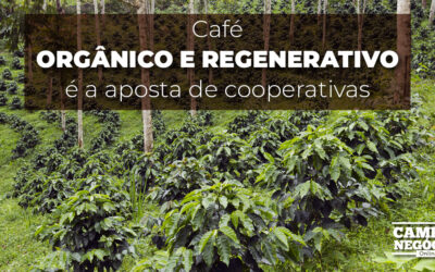 Café orgânico e regenerativo é a aposta de cooperativas