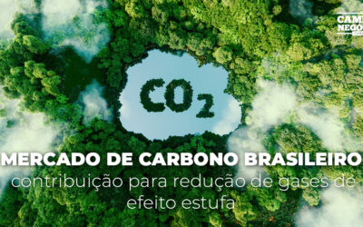 Mercado de carbono brasileiro: contribuição para redução de gases de efeito estufa