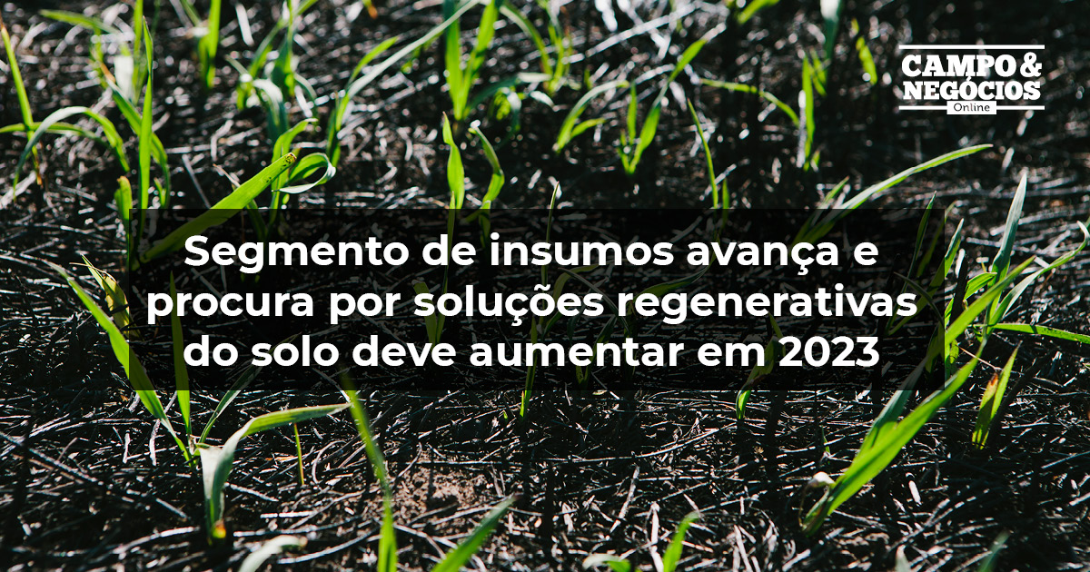 Segmento de insumos avança e procura por soluções regenerativas do solo