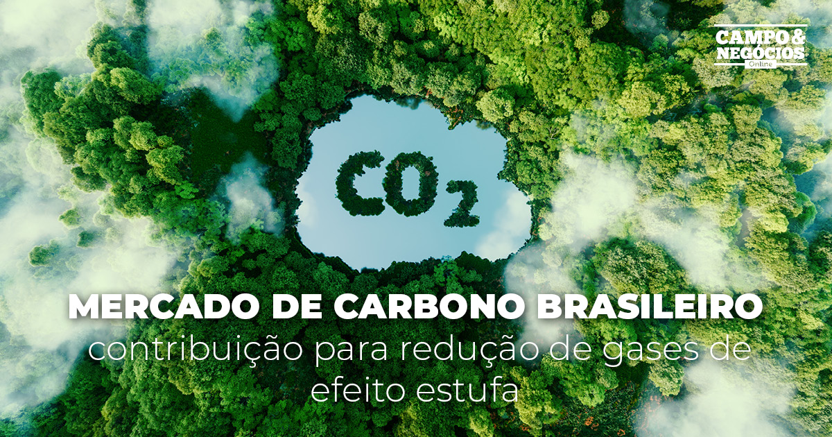 Mercado de carbono brasileiro: contribuição para redução de gases de efeito estufa