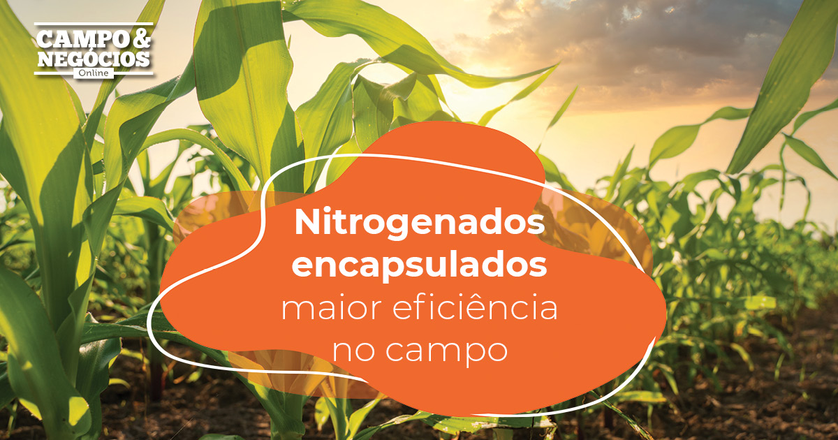 Nitrogenados encapsulados: maior eficiência no campo