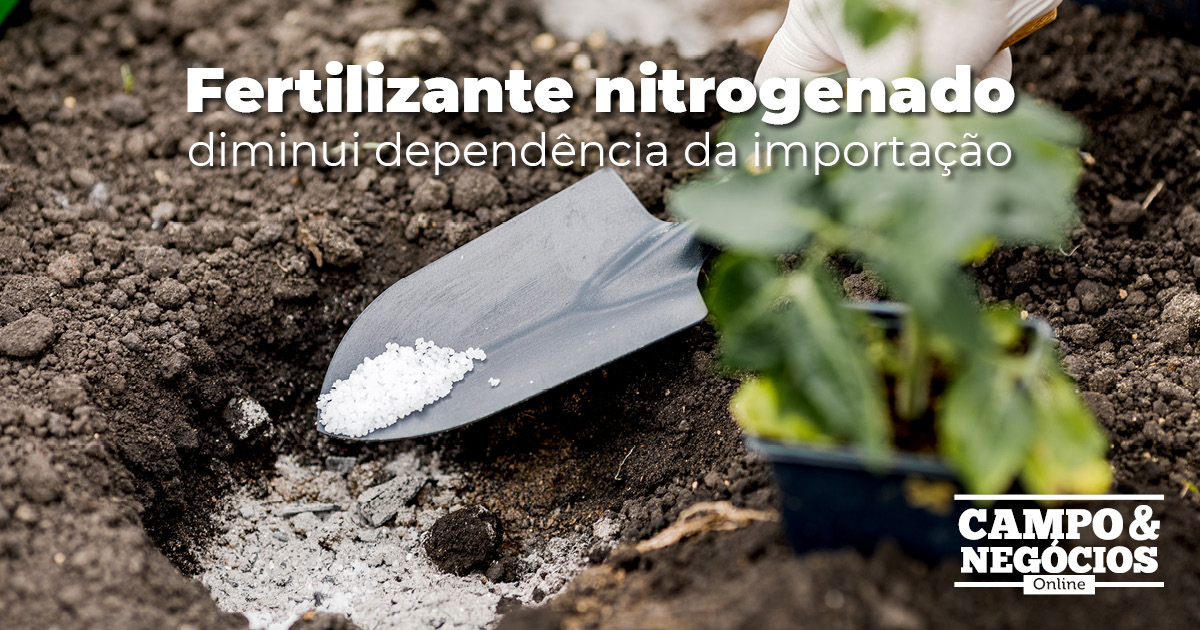 Fertilizante nitrogenado diminui dependência da importação