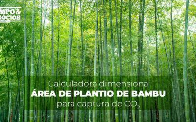 Calculadora dimensiona área de plantio de bambu