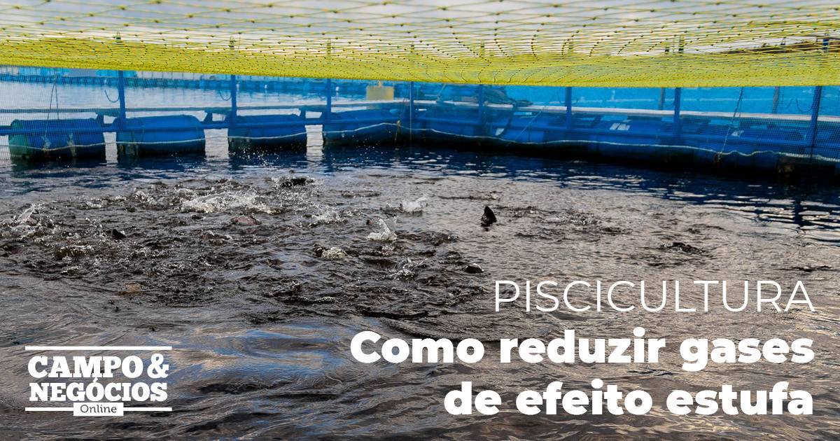 Redução de gases de efeito estufa na piscicultura