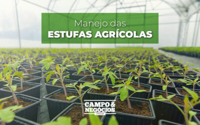 Manejo das estufas agrícolas