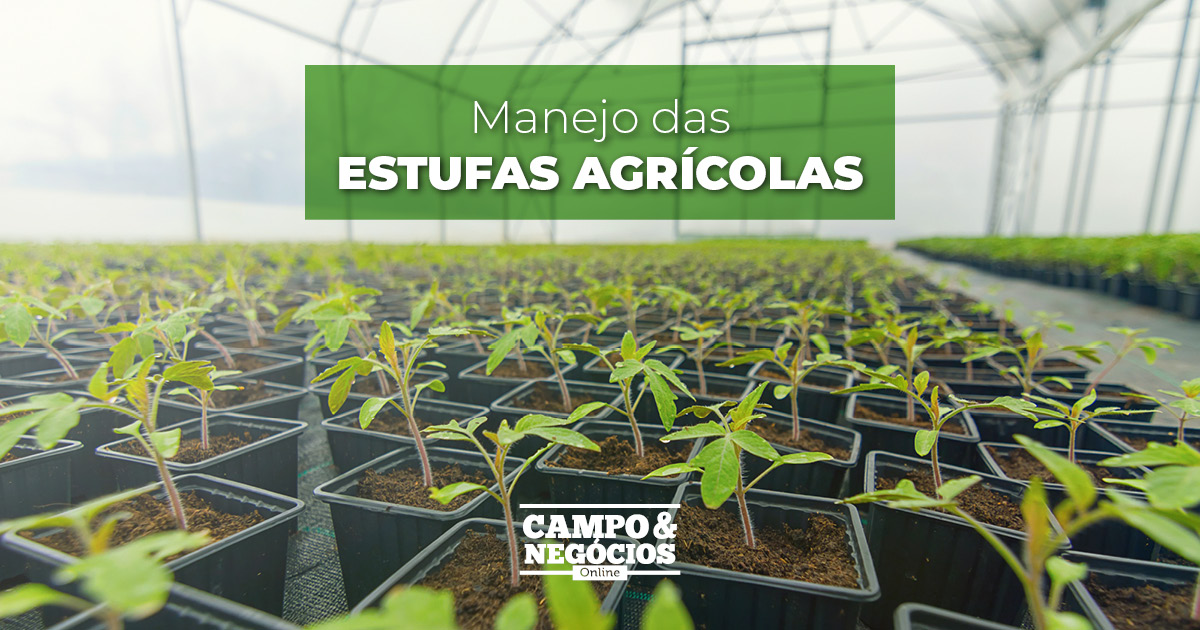 Manejo das estufas agrícolas