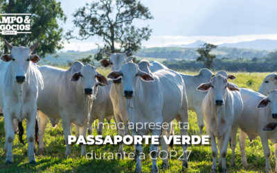 Passaporte Verde: Imac apresenta projeto inovador durante a COP27