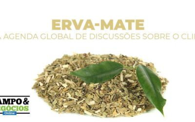 Erva-mate na agenda global de discussões sobre o clima