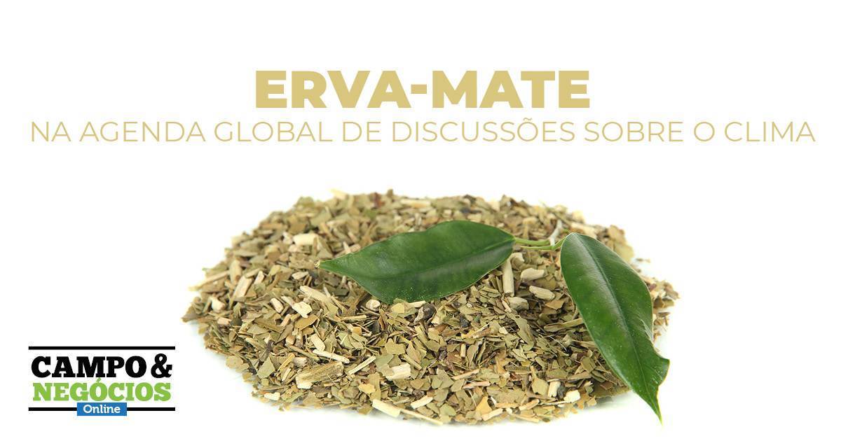 Erva-mate na agenda global de discussões sobre o clima