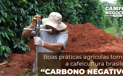 Boas práticas agrícolas tornam a cafeicultura brasileira ‘carbono negativo’