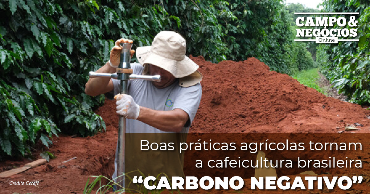 Boas práticas agrícolas tornam a cafeicultura brasileira ‘carbono negativo’