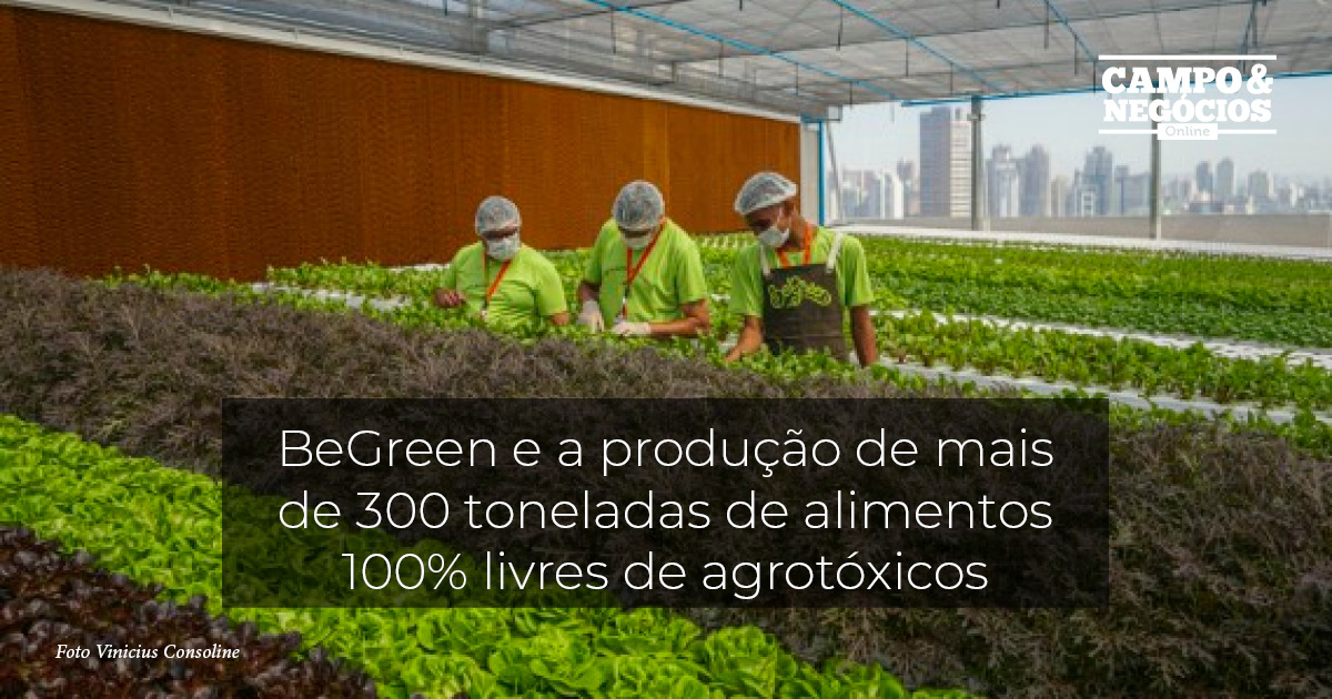 BeGreen e a produção de mais de 300 toneladas de alimentos 100% livres de agrotóxicos