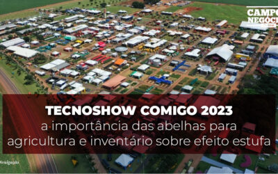 Tecnoshow Comigo 2023: a importância das abelhas para agricultura e inventário sobre efeito estufa