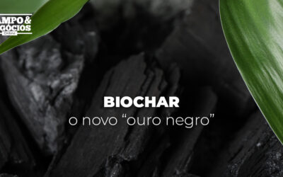 Novo “ouro negro”