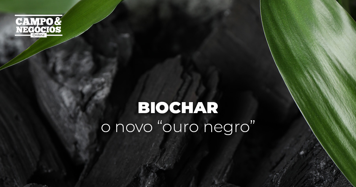 Novo “ouro negro”