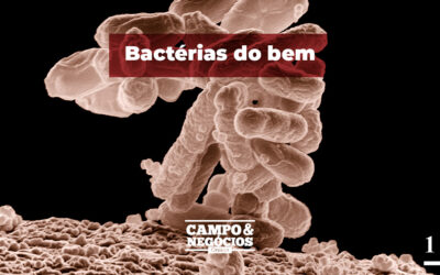 Bactérias do Bem