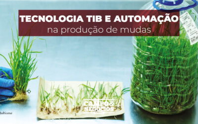 Tecnologia TIB e automação na produção de mudas