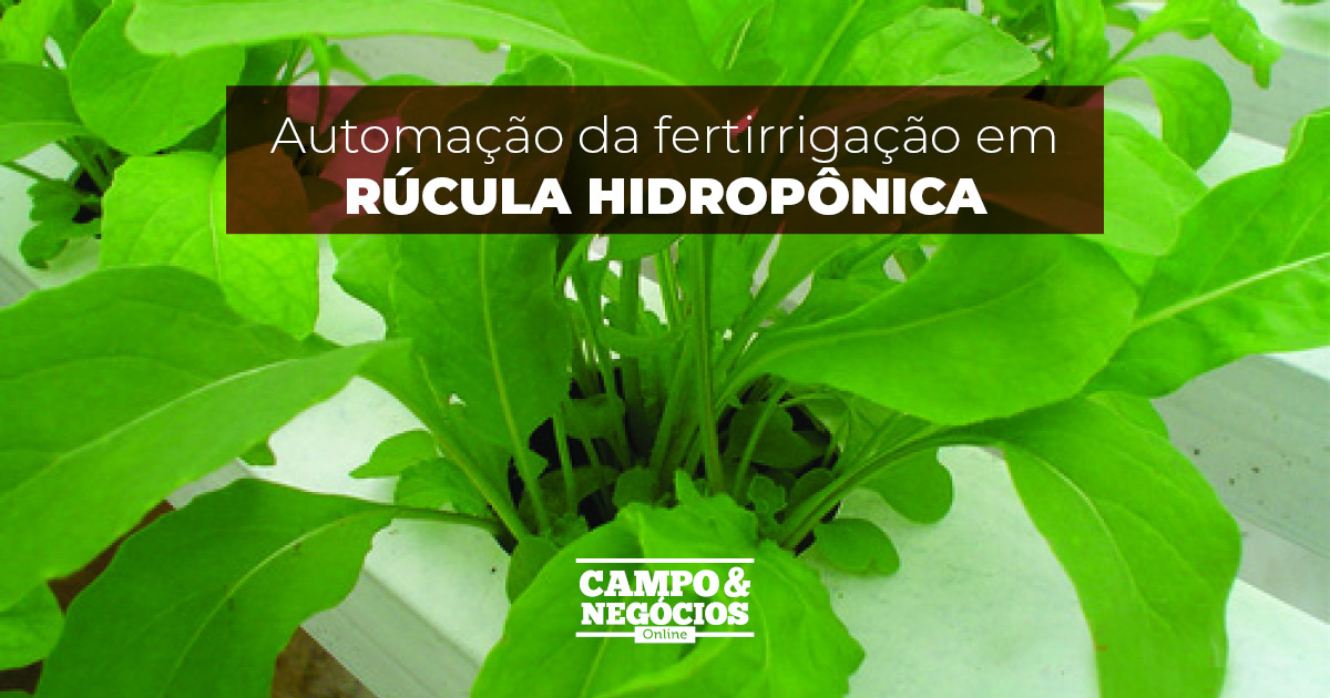 Automação da fertirrigação em rúcula hidropônica