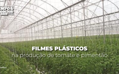 Filmes plásticos na produção de tomate e pimentão