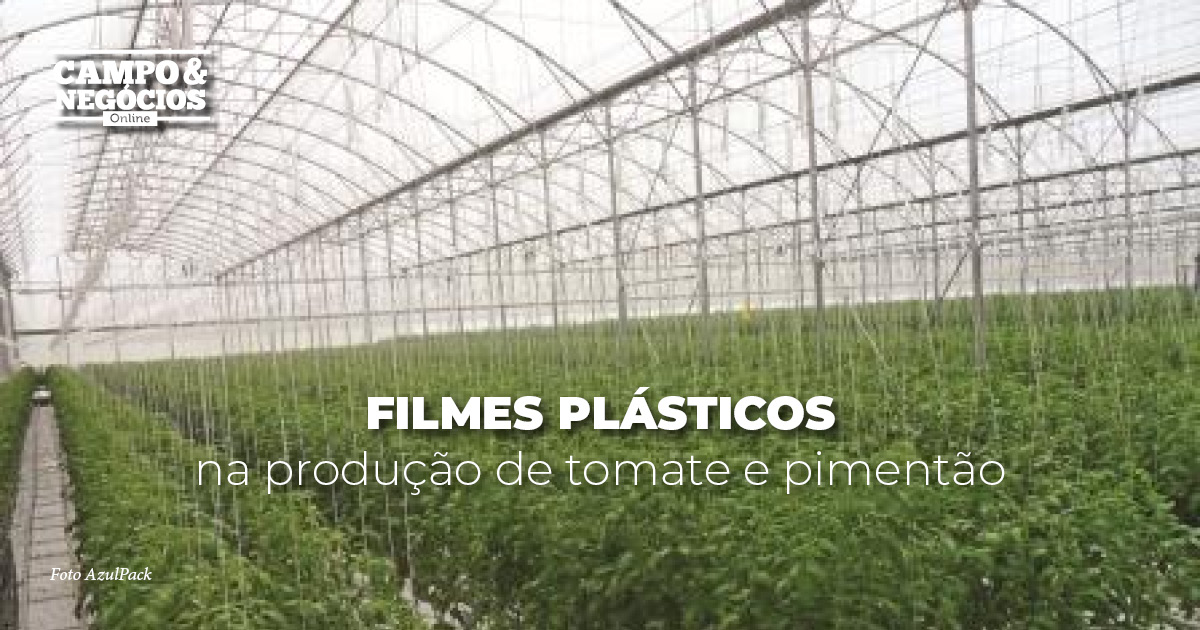 Filmes plásticos na produção de tomate e pimentão