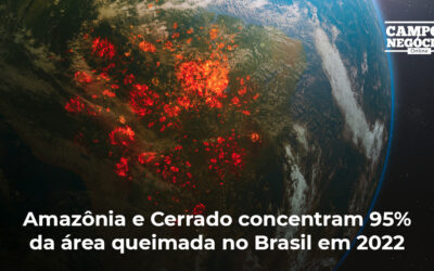 Amazônia e Cerrado concentram 95% da área queimada no Brasil em 2022