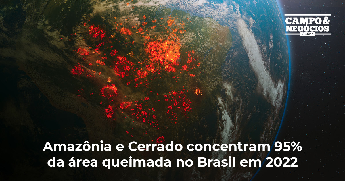 Amazônia e Cerrado concentram 95% da área queimada no Brasil em 2022