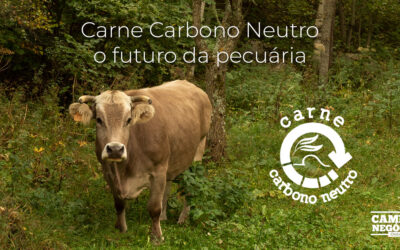 Carne Carbono Neutro: o futuro da pecuária