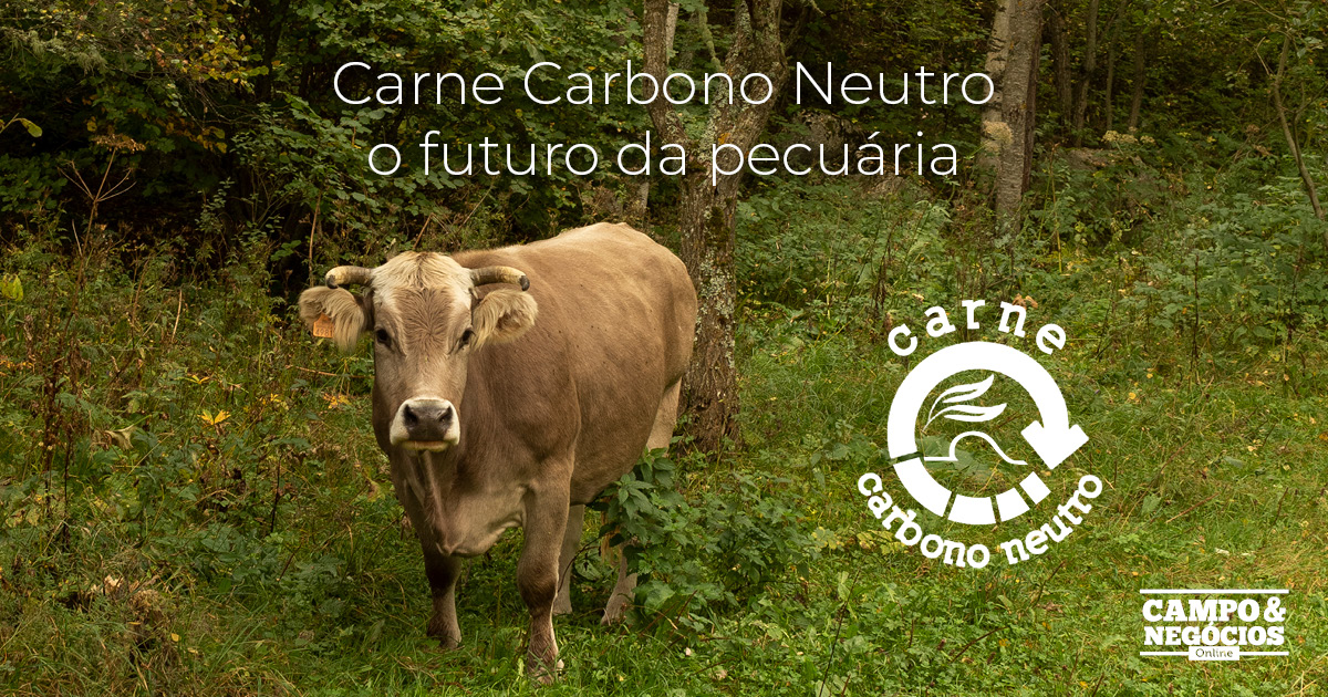 Carne Carbono Neutro: o futuro da pecuária