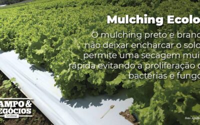 Mulching Ecolon