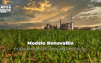 Modelo RenovaBio pode expandir descarbonização