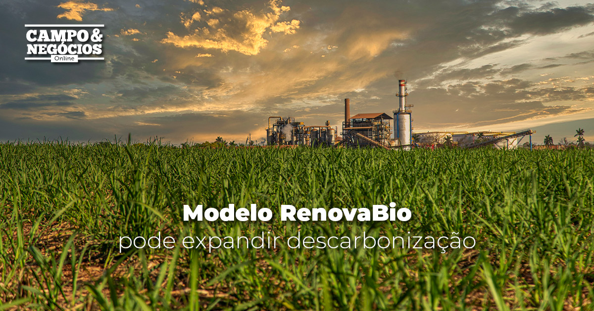 Modelo RenovaBio pode expandir descarbonização