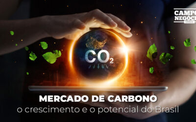 Mercado de carbono: o crescimento e o potencial do Brasil