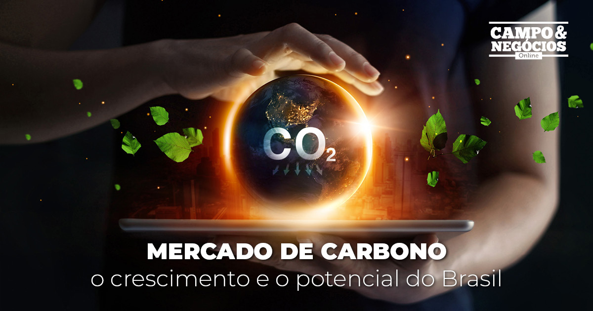 Mercado de carbono: o crescimento e o potencial do Brasil