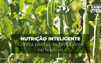 Nutrição inteligente contra perdas de Nitrogênio no feijoeiro