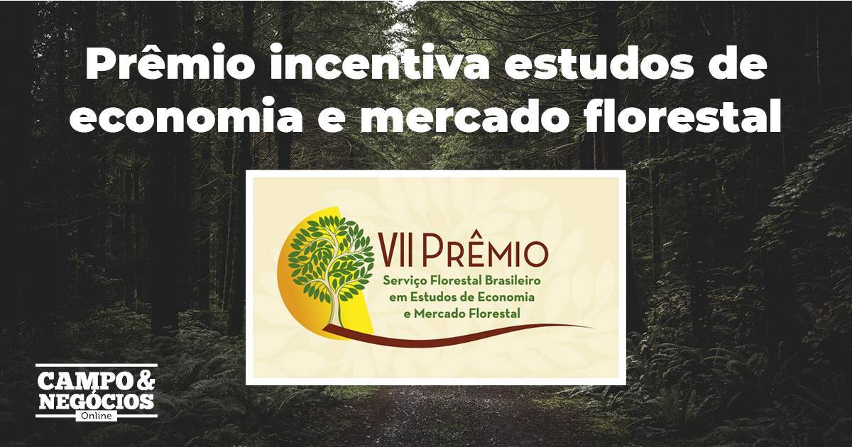 Prêmio incentiva estudos de economia e mercado florestal