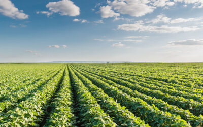 Congresso Brasileiro do Agronegócio 2021