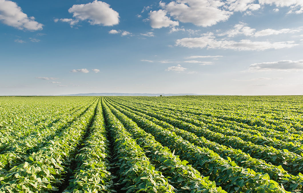 Congresso Brasileiro do Agronegócio 2021