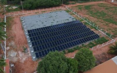 Unidade da Syngenta Seeds no Ceará inicia operação de usina solar