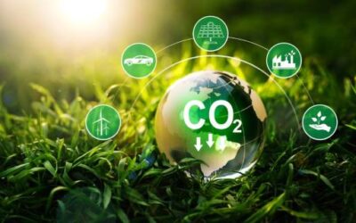 Parceria facilita certificação de créditos de carbono