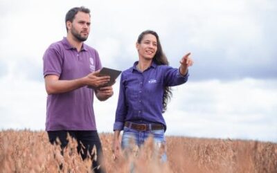 BASF estabelece metas de agricultura sustentável para os próximos 10 anos