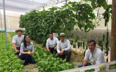 Isla Sementes marca presença na 20 ª edição do Itaipu Rural Show