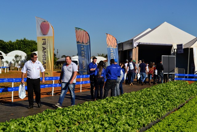 Campo da Agristar atrai quase três mil pessoas durante a Hortitec