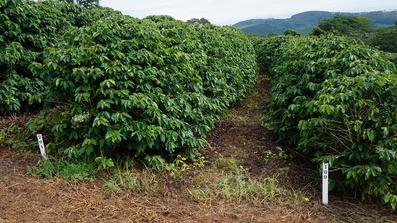 Produtos inovadores reduzem perdas de nitrogênio