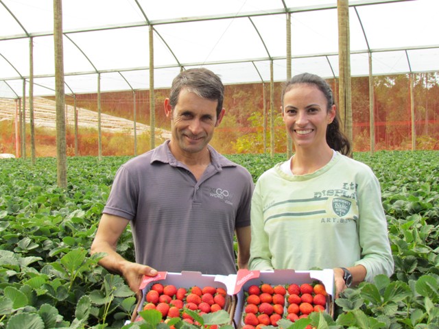 Growing Frutas Almeida Santos – Tecnologia para todos