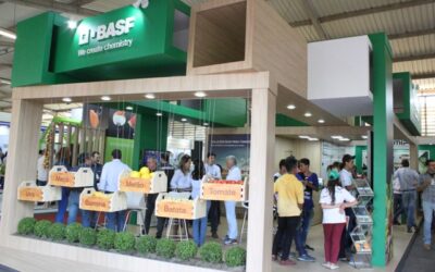 BASF destaca o manejo integrado de pragas e doenças em hortifrúti